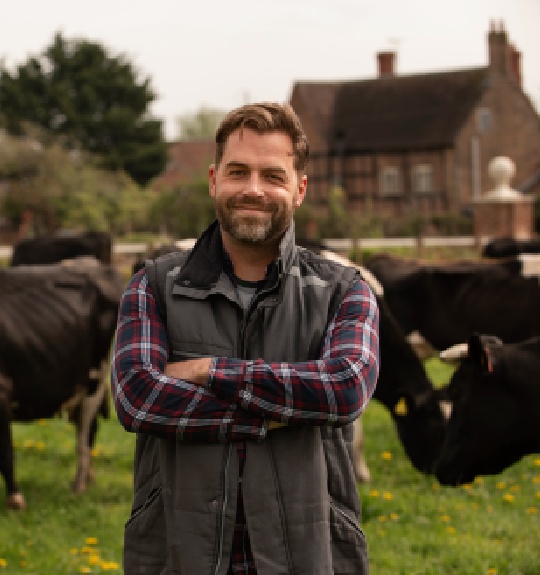 cows-grazing-around-farm