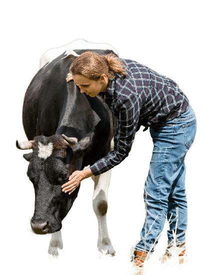 woman-with-cow-farm